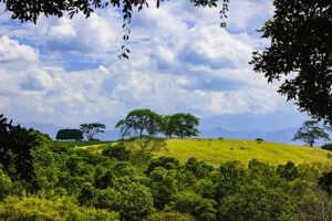 What Makes Loop Bandera Unique In Valle del Cauca?